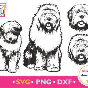 SVG Raza de perro pastor inglés antiguo, Descarga digital, cara de perro, Mascota, Pata, cabeza, lindo retrato de perro, camisa svg, Cricut, Clipart, vector, png, dxf