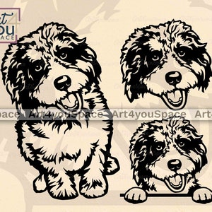 Aussiedoodle hond Svg-bestanden voor Cricut, Doodle ras schattige clipart, vector afdrukbare kunst downloaden, gezicht gluren hoofdpoten, DXF EPS-lichaam zitten
