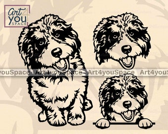 Aussiedoodle Hund SVG-Dateien für Cricut, Doodle Rasse niedlichen Clipart, Vektor druckbare Kunst Download, Gesicht späht Kopf Pfoten, DXF EPS Körper sitzen