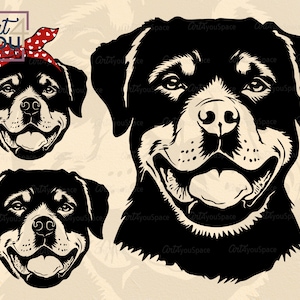 Rottweiler svg, Pies svg Cricut, Rott z bandaną Vector, Rottie Clipart, twarz głowa, DXF, Pobierz PNG do druku, koszula svg, serce walentynkowe