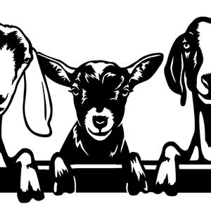 Custom Dog Svg, Vector Tracing, Photo to Svg, Personalized Pet Portrait Black and White Image, Cricut custom design, dxf file for Plasma Cnc