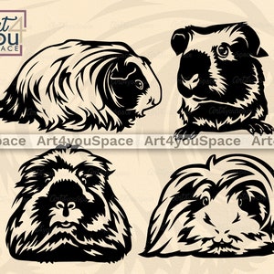Guinea Pig Clipart, Svg files for Cricut, Animal vector download, png Art, Veterinary logo, DXF peruvian Silkie, Custom Guinea Pig Portrait