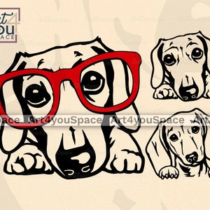 Mini teckel, hond gluren Svg Cricut, gladde Doxie bril clipart, dxf png download, ras vector afbeelding, afdrukbare kunst, gezicht poot hoofd