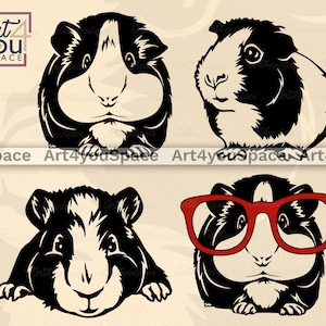 Meerschweinchen SVG für Cricut, niedliches Haustier Clipart, Haustier Vektor-Grafik-Download, png druckbar, lustige Veterinärdesignkunst, d