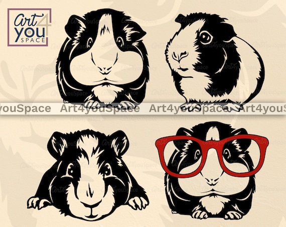 Download Guinea Pig Svg files for Cricut cute pet clipart Domestic ...