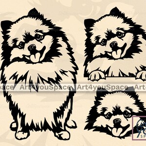 Pommeren SVG, hond SVG-bestand voor Cricut, schattig gluren huisdier gezicht lichaam clipart, ras, download, vector afdrukbare kunst, PNG, DXF, shirt design