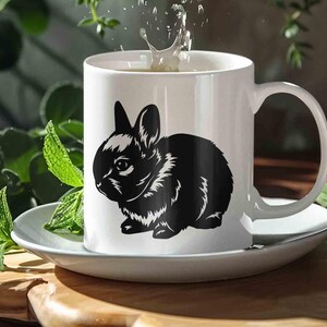 Netherland dwarf rabbit svg