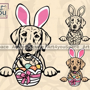May include: A Labrador Retriever dog wearing bunny ears holds a basket of colourful Easter eggs. The dog is looking at the viewer with a playful expression.