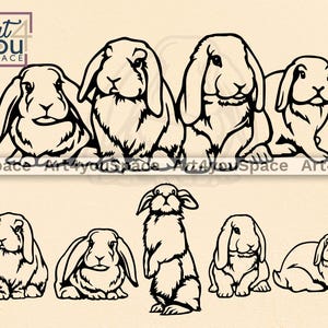 Lapin SVG / contour de lapin aux oreilles Lop / projets Cricut / fichiers Dxf pour plasma, Cnc, Glowforge, Lightburn / vecteur découpé au Laser, clipart T-shirt