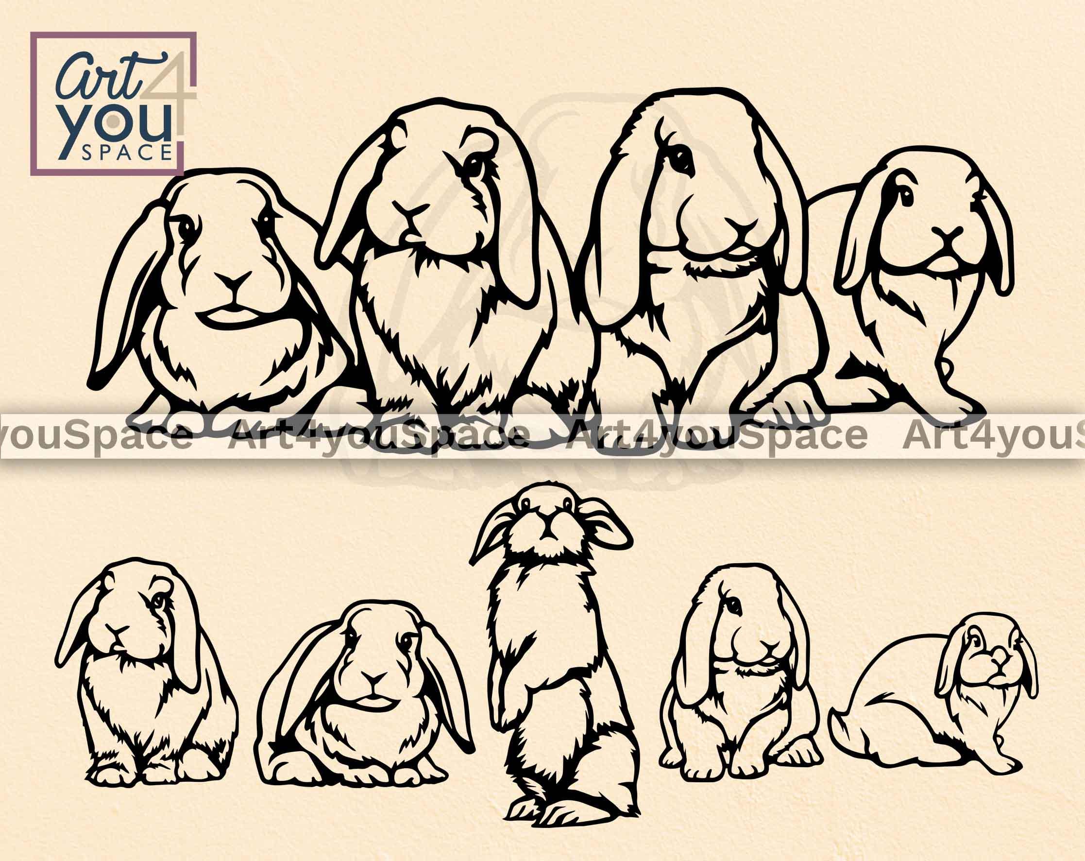 Rabbit SVG / Lop Eared Bunny Outline / Cricut Projects / Dxf Files for ...