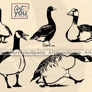 Gans Clipart, ganzen Svg, Canadese ganzen, grauwe gans, vogel, landbouwhuisdieren, eend, download, pluimvee vectorafbeeldingen, Cricut Project, Png, Dxf-kunst