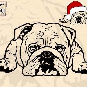 Amerikaanse bulldog svg hond svg-bestanden voor de cricut, vector clipart, ras dxf, png download, huisdier hart bril, Valentine ontwerp afdrukbare kunst