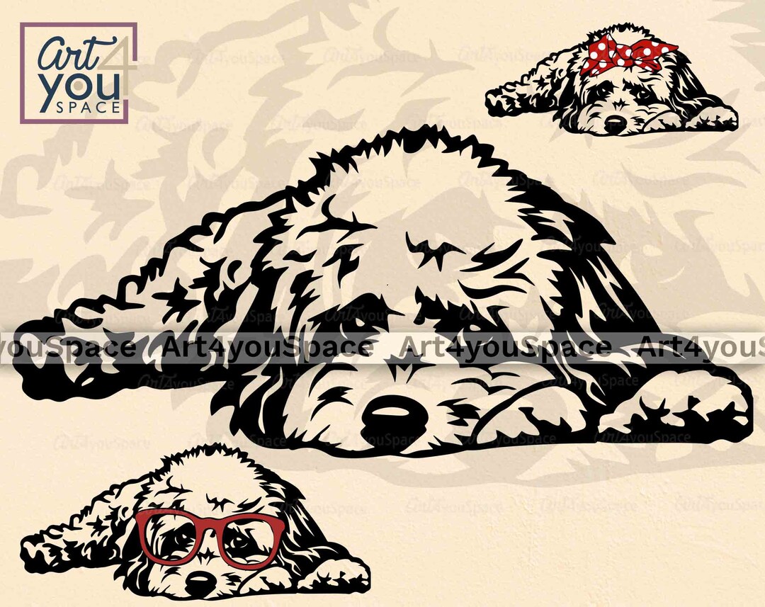 Cavapoo Svg, Dog SVG File Cricut, Cute Puppy Clipart, Download PNG ...