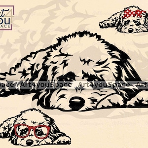 Cavapoo Svg, Dog SVG File Cricut, Cute Puppy Clipart, Download PNG, Breed Vector DXF, Printable Art, T-Shirt Design, Lying Pet Glasses Bow