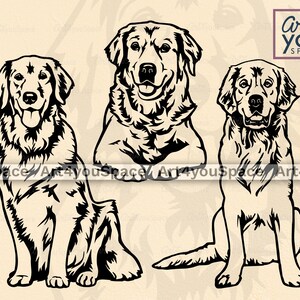 Golden Retriever SVG, Goldie Clipart, arquivos svg de cachorro para Cricut, engraçado, download de arte para impressão, vetor, png gravura dxf, deitado, corpo, sentar