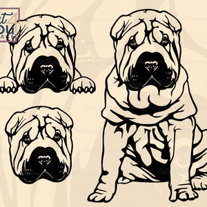 Shar pei svg, Hunde svg-Dateien für Cricut, Gesicht Kopf Clipart, Laser-Schnitt-Veilchen 3D, dxf-Dateien für Laser-Cnc-Druck, spähen, Shirt svg zum Ausdrucken