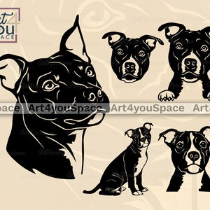 Engelse Staffordshireterriër SVG hond Cricut project downloaden, Staffie clipart kunst, huisdier gezicht hoofd poot laser gesneden vector, png, dxf plasma cnc
