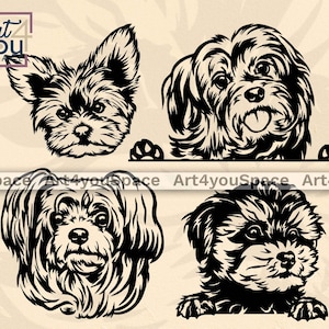 May include: Four black and white silhouette illustrations of Yorkshire Terrier dogs. Each dog is shown with a different pose and expression.