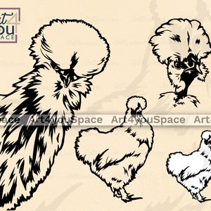 Silkie Chicken Svg files for Cricut, Farm life, Poultry Sign, Funny Peeking Animal, Download, Clipart, Vector, printable art Png, Dxf, body