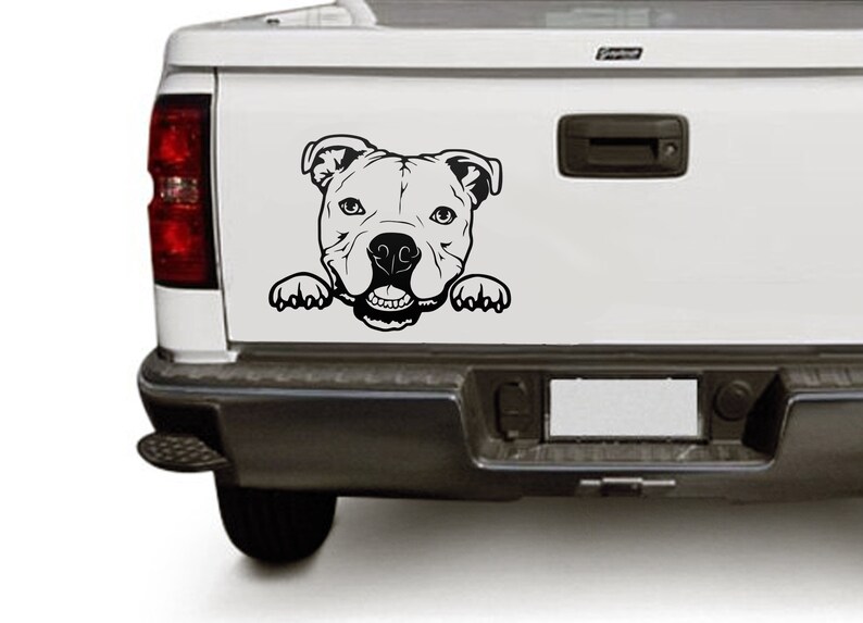 Free Free American Bully Svg 726 SVG PNG EPS DXF File