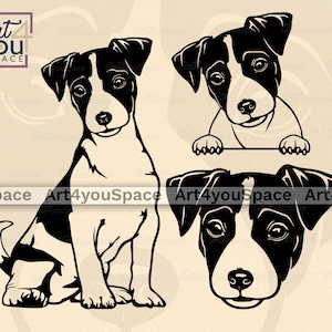 Svg Jack Russell Terrier, chien svg cricut, cnc plasma dxf découpé au laser, image vectorielle visage, corps, télécharger des cliparts, png, race Art imprimable