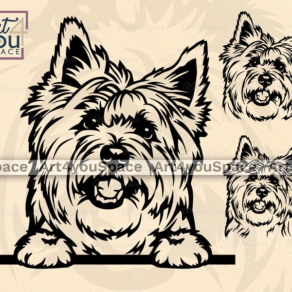 Cairn Terrier, Dog Svg Files For Cricut, Pet Clipart, Face Head Paw Png, Breed, Download Printable Art, Vector, Shirt Design, Animal Dxf Cut