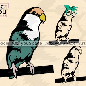 Dutch Blue Peachface, loro svg, pájaro divertido svg, Clipart, descargar, cricut, vector, Dxf, png, diseño de camisa, gafas de pañuelo, arte imprimible