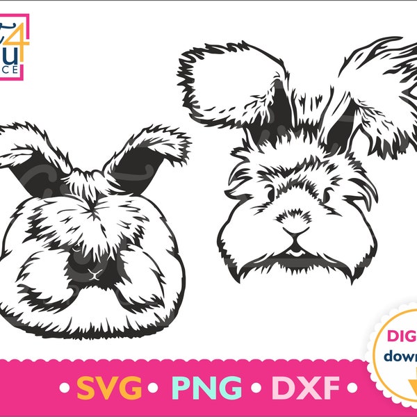 rabbit SVG, bunny svg, angora rabbit Breed, hare, cute animal, face, farm, clipart, vector, download, t-shirt, pet lover, cricut, png, dxf