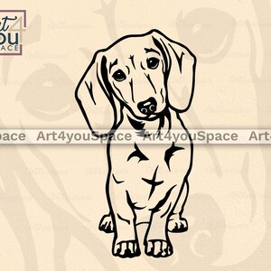 Doxie svg
