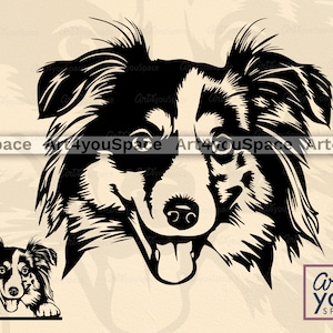 Australische herder SVG, hond SVG-bestanden voor cricut, mini Aussie gezicht clipart, download vector afbeelding, PNG, DXF, afdrukbare kunst, hoofd, ras