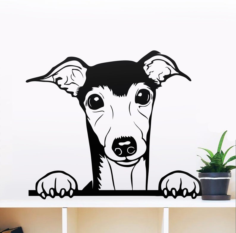 Download Italian greyhound Dog svg files for Cricut cute dog face ...