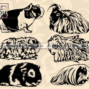 May include: A set of ten black and white silhouette illustrations of guinea pigs in various poses. The guinea pigs are shown in a variety of poses, including sitting, standing, and running. The illustrations are simple and elegant, and they would be perfect for use in a variety of projects, such as greeting cards, scrapbooking, or website design.