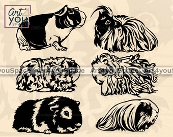 Guinea Pig Clipart, Svg files for Cricut, cute domestic pet, Silkie Animal vector download, png printable art, Veterinary logo, DXF peruvian