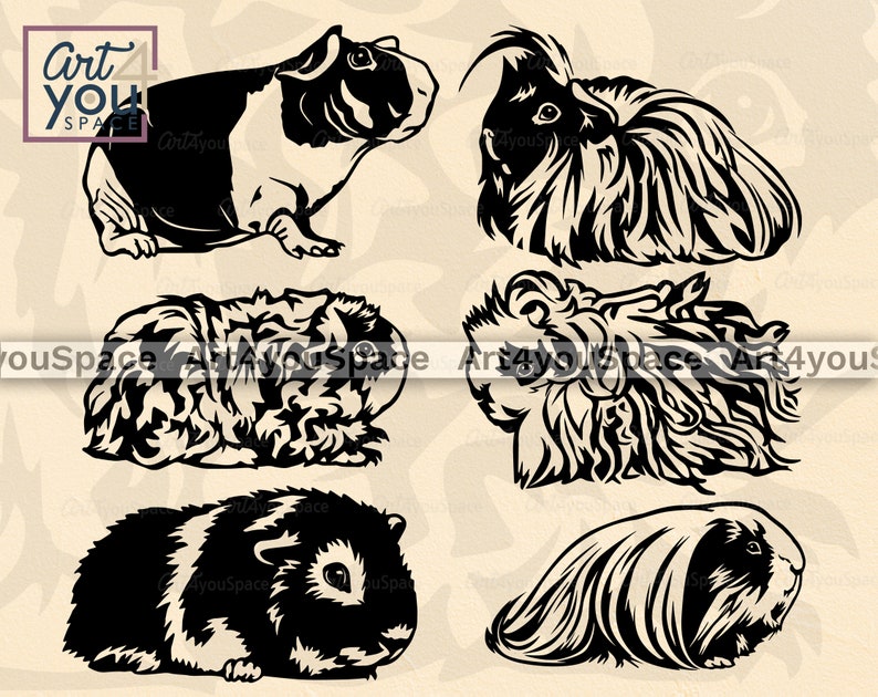 Download Guinea Pig Clipart Svg files for Cricut cute domestic pet ...