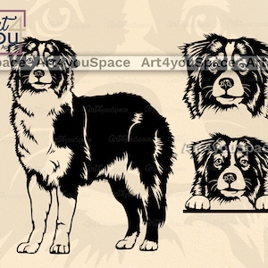 Australischer Schäferhund Gesicht, Aussie Gesicht Clipart, Download Vektor Bild, png, dxf, printable Kunst, Kopf Körper, Rasse
