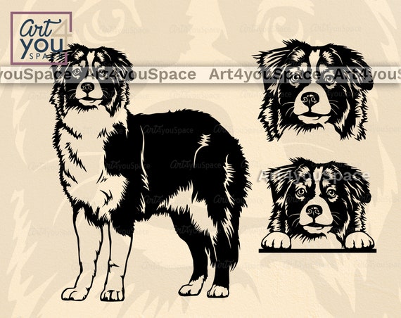 Download Australian Shepherd Svg Dog Svg Files For Cricut Aussie Face Etsy