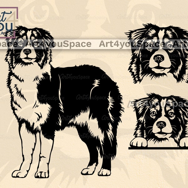 Australian shepherd svg, Dog Svg files for cricut, Aussie face Clipart, Download vector image, png, dxf, printable art, head body, Breed