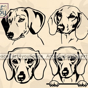 Puede incluir: Cuatro ilustraciones en blanco y negro de Dachshunds. El primer Dachshund mira hacia la izquierda, el segundo mira hacia adelante, el tercero mira hacia adelante y el cuarto mira hacia adelante con sus patas sobre una superficie.