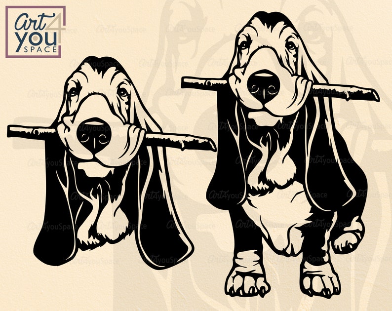 Download Cute Basset hound vector dog svg cricut pet face clipart ...