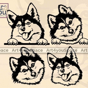 Pomsky svg, fichier SVG chien pour Cricut, clipart visage mignon animal de compagnie, téléchargement, race husky de Poméranie mix vector art imprimable png, dxf, conception de chemise