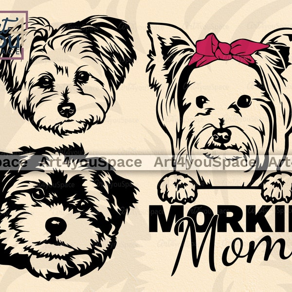 Morkie SVG cricut, Morkie mom clipart dog vector, Download printable png, Maltese Yorkshire Terrier Mix breed peeking paw face bandana, dxf