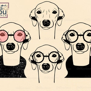 Mignon lévrier italien svg, svg chien, lunettes pour chien, visage, race, chien, Clipart, vecteur, portrait, Cricut, PNG, DXF, chemise pour chien svg, téléchargement