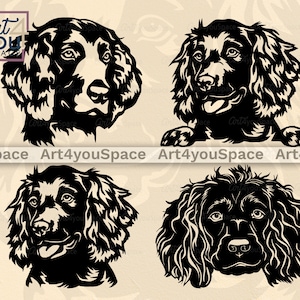 Boykin Spaniel svg, Perro de caza Cricut y corte láser Clipart vectorial Descarga digital