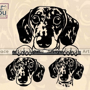 Dapple teckel svg, Doxie, hond Svg Cricut, schattig huisdier gezicht gluren Clipart, Png hoofd Paw downloaden, Vector Dxf, glad kort haar Merle ras