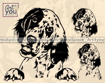 English Setter svg, dog svg files for Cricut, hunting breed clipart dxf, vector Printable art png, download, funny face portrait, head