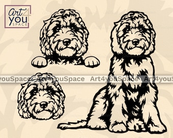 Labradoodle Svg, Dog Svg Cricut, Cute Pet Face Clipart, Head Paw, Design Download PNG DXF Plasma Cnc Art Laser Cut Vector Doodle Breed Body