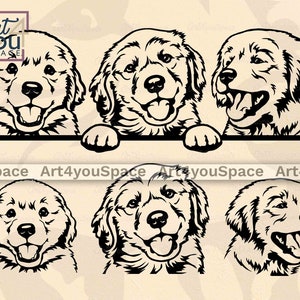 Golden Retriever Welpe SVG-Dateien für Cricut, späht Goldie Gesicht Clipart, Hund zwar, printable Kunst Download, Vektorschnitt, Png dxf Gravur eps