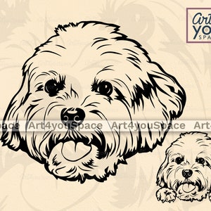 Maltese svg, Dog svg Cricut, cute dog Face Vector download, Puppy Clipart, Pet Head paws Vector graphics, dxf, t-shirt printable design png