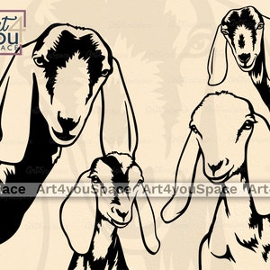 Nubian goat svg files for Cricut, dxf, peeking farm animal face, cute clipart, head png, vector image Download, printable art, design logo