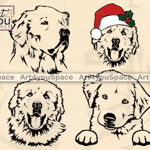 Pyrenäen Welpe Hund auf rotem Hintergrund, Pyrenäen Welpe auf rotem Hintergrund, digitale Illustration für Cricut und Cricut